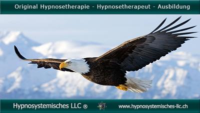 Hypnosetherapie Hypnosetherapeut Hypnosystemischer Coach